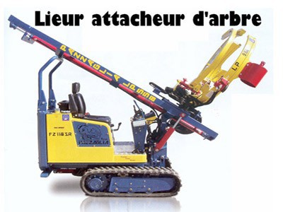 Lieur attacheur d'arbre