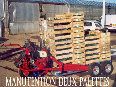 Manutention deux palettes